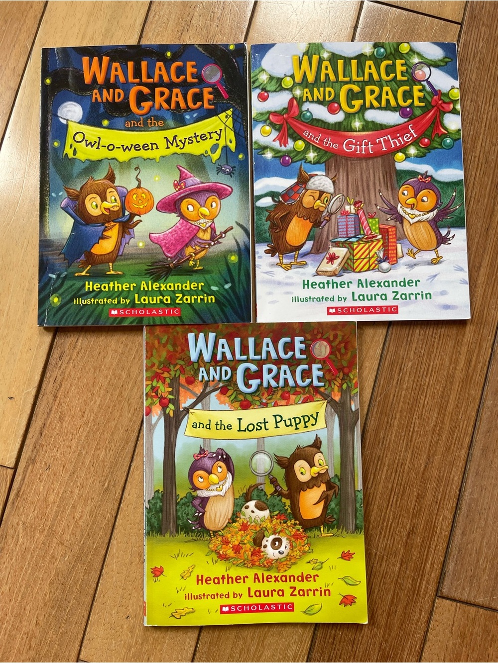 Wallace and Grace Book Lot 3 Heather Alexander Scholastic Mystery Readers